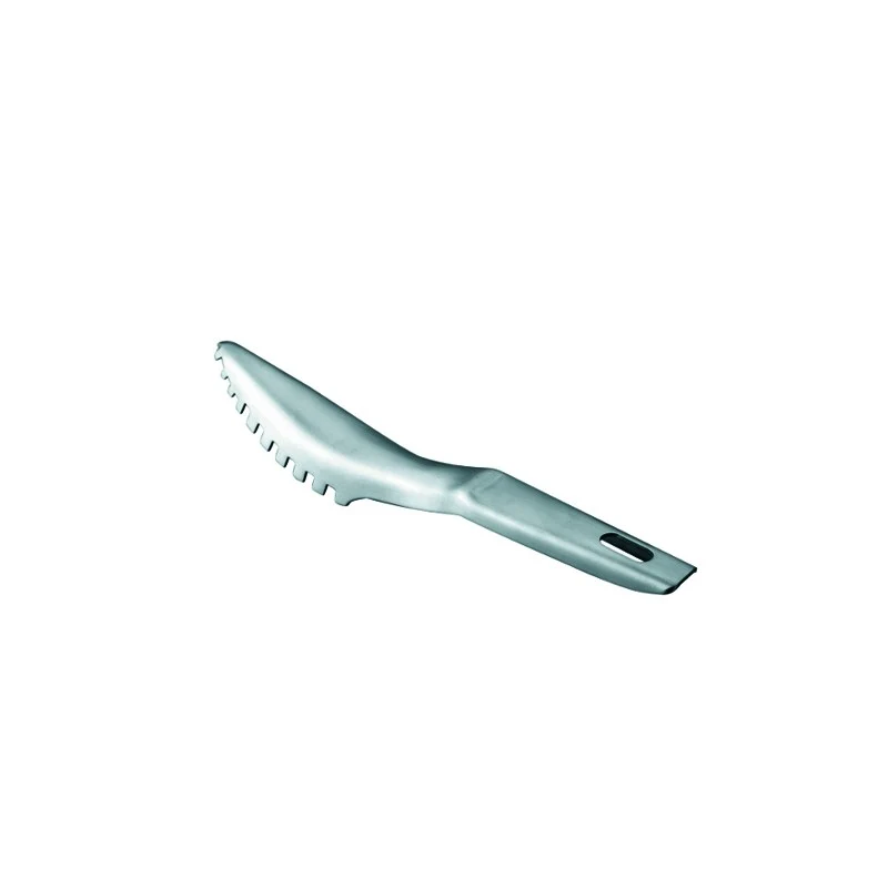 Descamador de Pescado Lacor 23cm - Acero Inoxidable 18/10