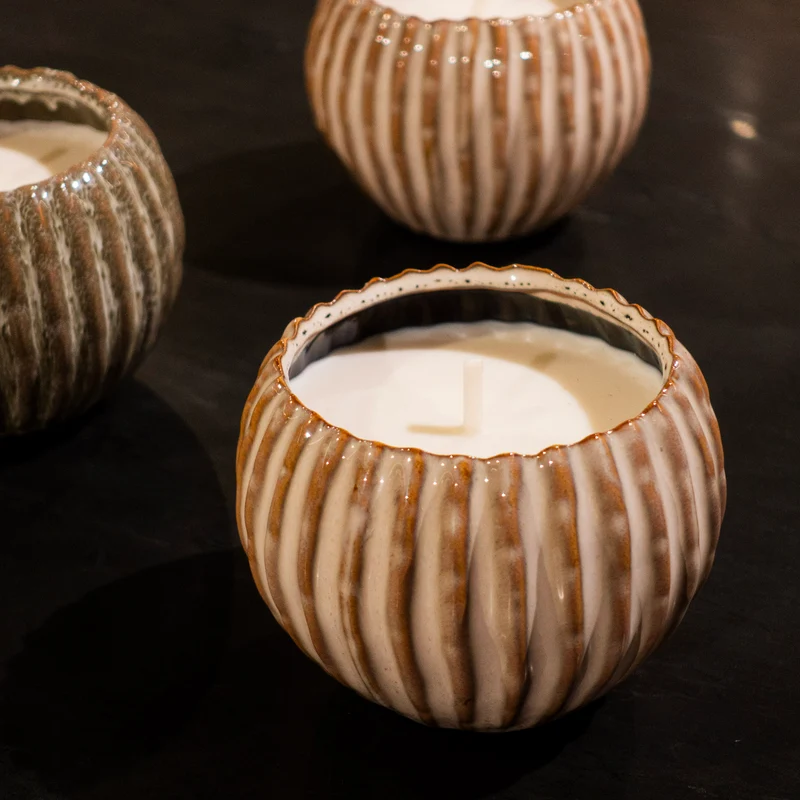 Maceta con vela citronela blanca