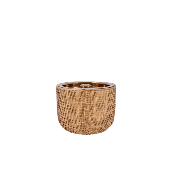 Cubitera Warren